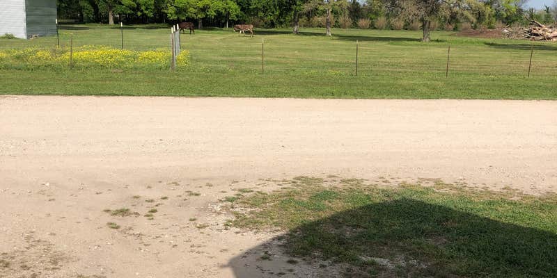 Camper submitted image from Shiloh RV Park