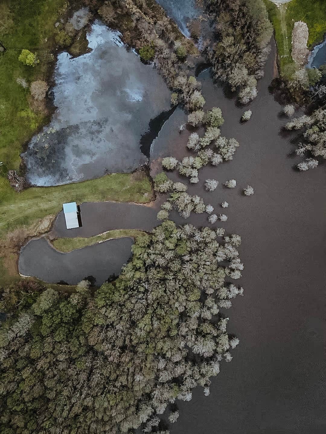 Camper-submitted photo at Earl Williamson Park near Tatum, TX