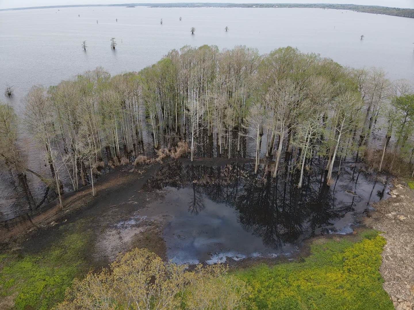 Camper-submitted photo at Earl Williamson Park near Blanchard, LA