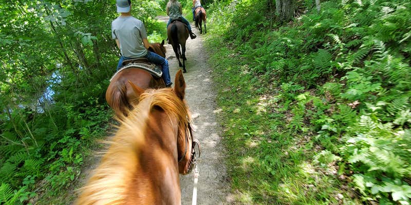 Camper submitted image from El Rancho Manana