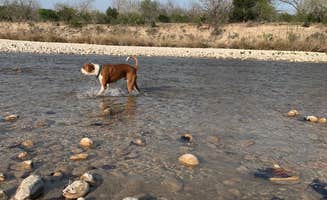 Becky B.'s photo of camping with pets at Nueces River RV and Cabin Resort near Brackettville, TX