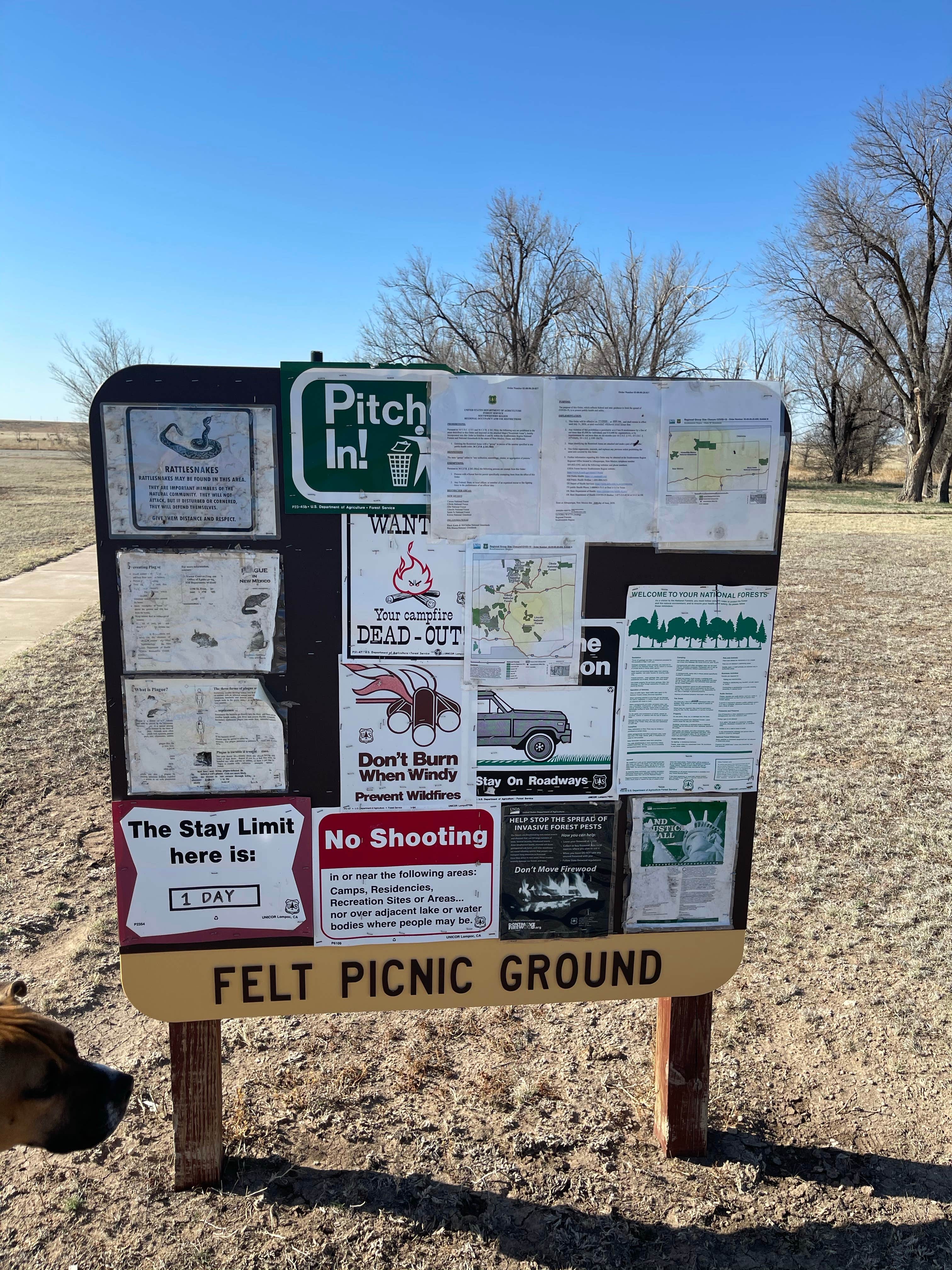 Camper submitted image from Felt Picnic Area - 2
