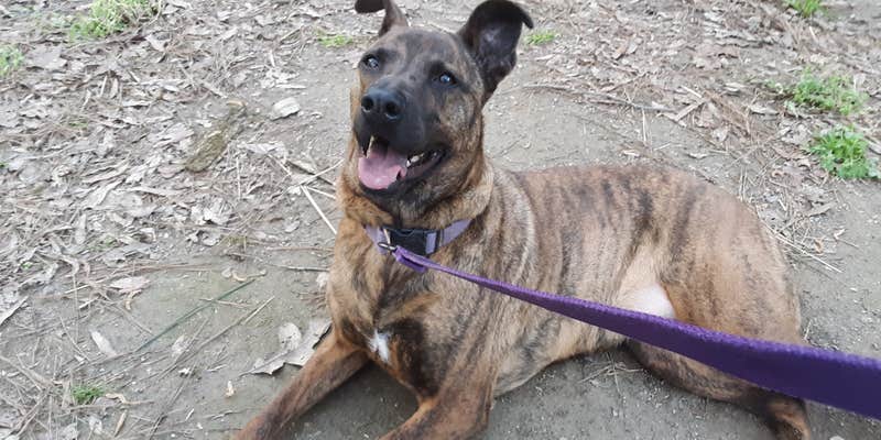 Camper submitted image from Bussey Point Wilderness Area