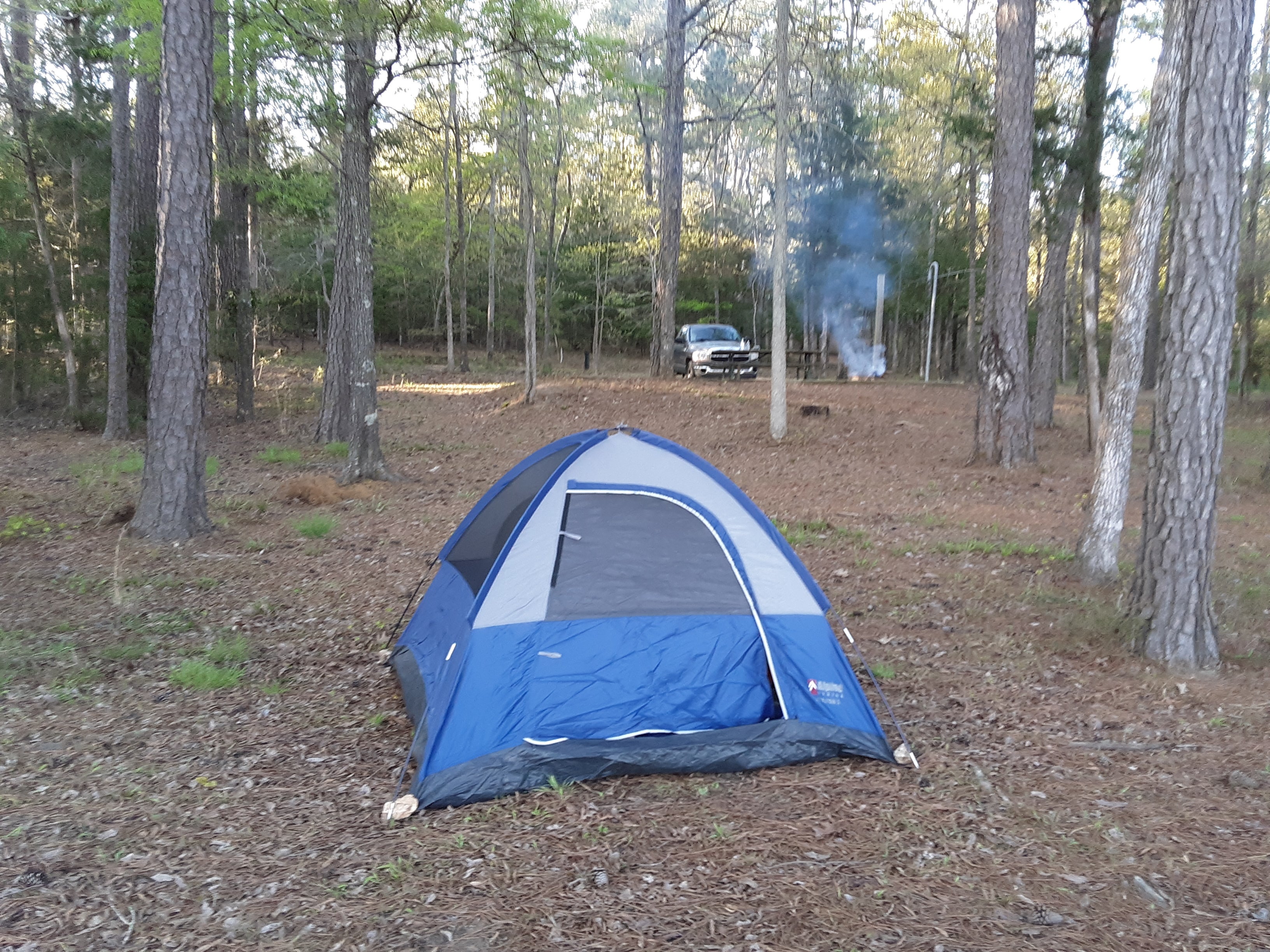 Camper submitted image from Bussey Point Wilderness Area - 5