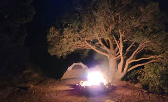 Alistar B.'s photo at Aguirre Spring Recreation Area and Campground near Mesilla, NM