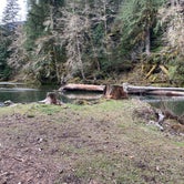 Review photo of Staircase Campground — Olympic National Park by Kali C., April 4, 2021