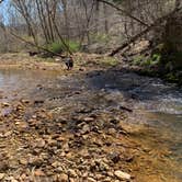 Review photo of Berryman Trail & Campgrounds - Mark Twain National Forest by Jake K., April 4, 2021