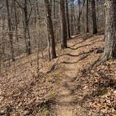 Review photo of Berryman Trail & Campgrounds - Mark Twain National Forest by Jake K., April 4, 2021