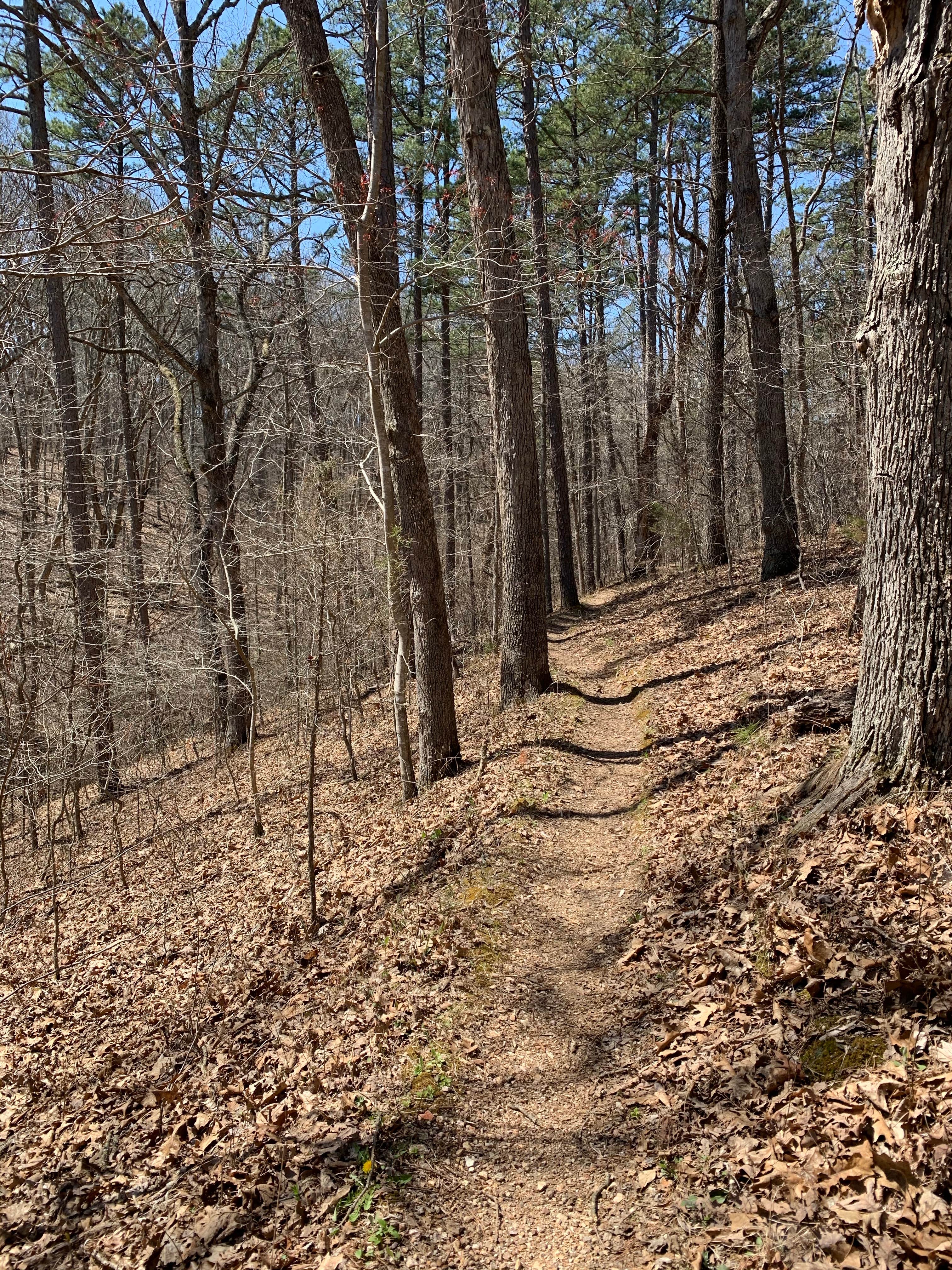 Berryman campground clearance