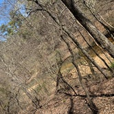 Review photo of Berryman Trail & Campgrounds - Mark Twain National Forest by Jake K., April 4, 2021