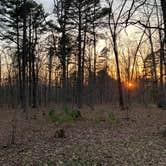 Review photo of Berryman Trail & Campgrounds - Mark Twain National Forest by Jake K., April 4, 2021