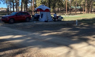 Camping near Jersey Jim Lookout: Echo Basin Cabin and RV Resort, Mancos, Colorado