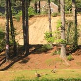 Review photo of Normandy Farms Campground by Gale S., May 31, 2018