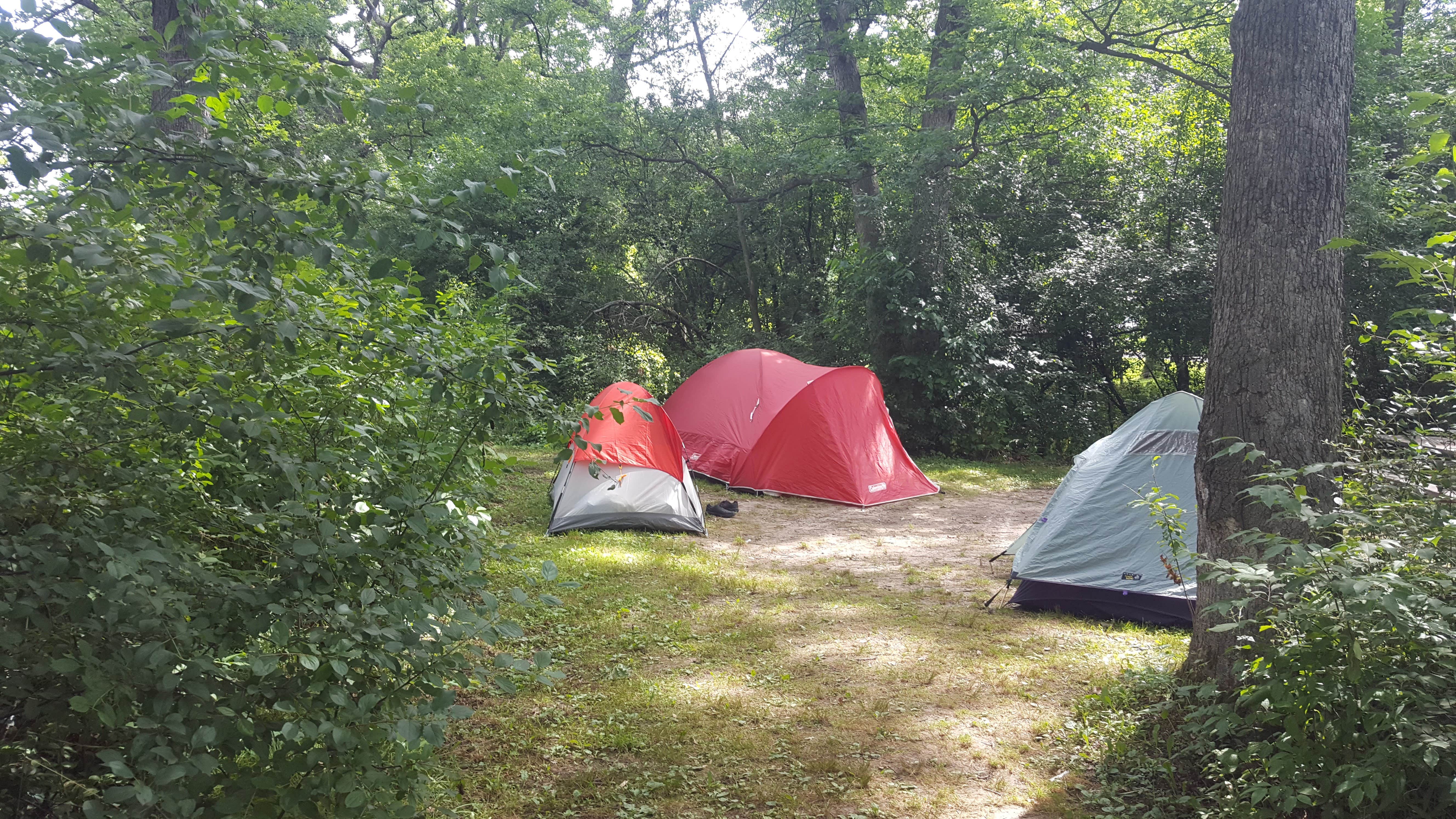 Camper submitted image from Big Foot Beach State Park Campground - 4