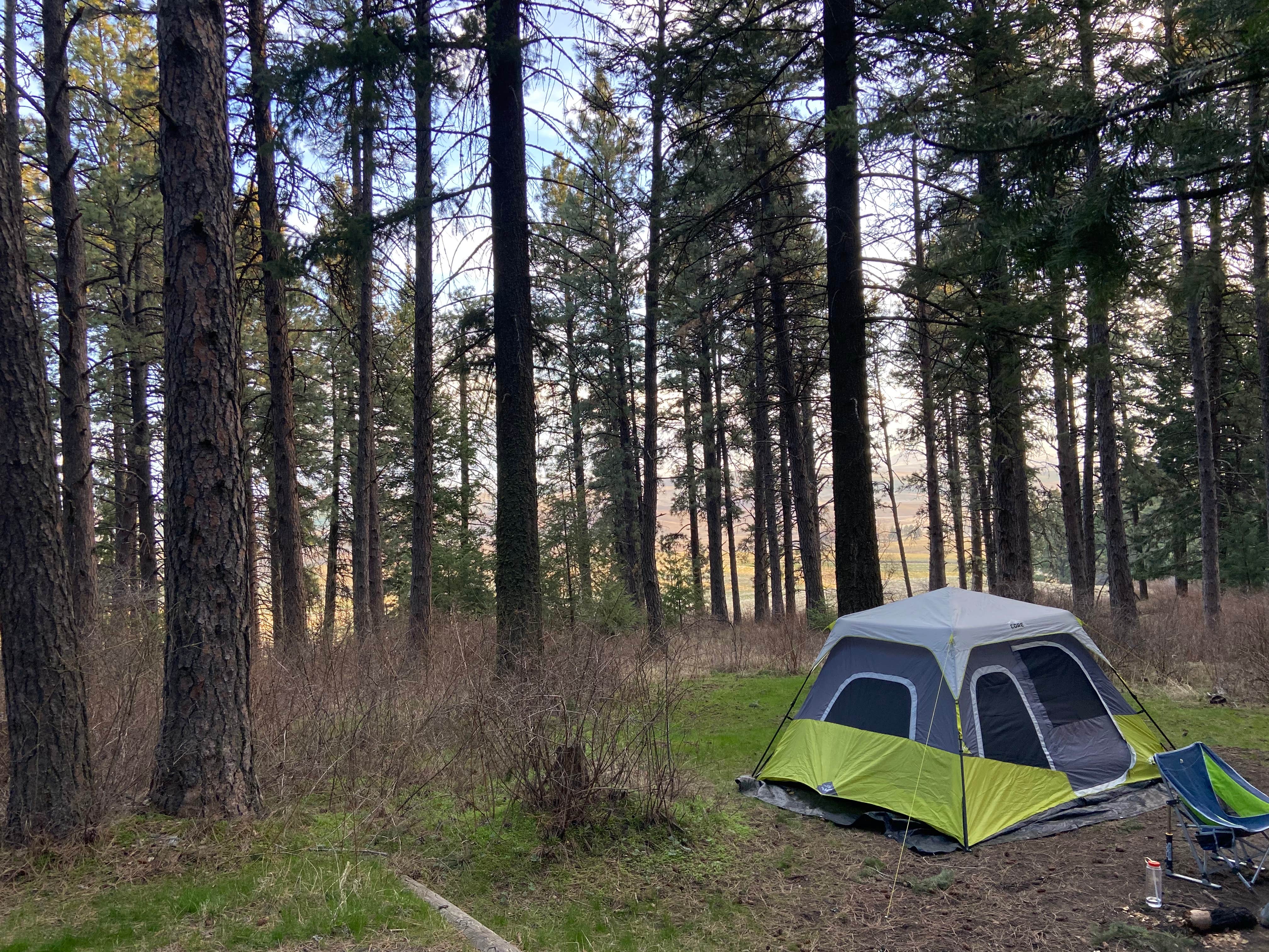 Camper submitted image from Kamiak Butte County Park - 1