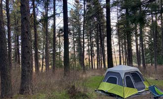Camping near Boyer Park & Marina KOA: Kamiak Butte County Park, Palouse, Washington