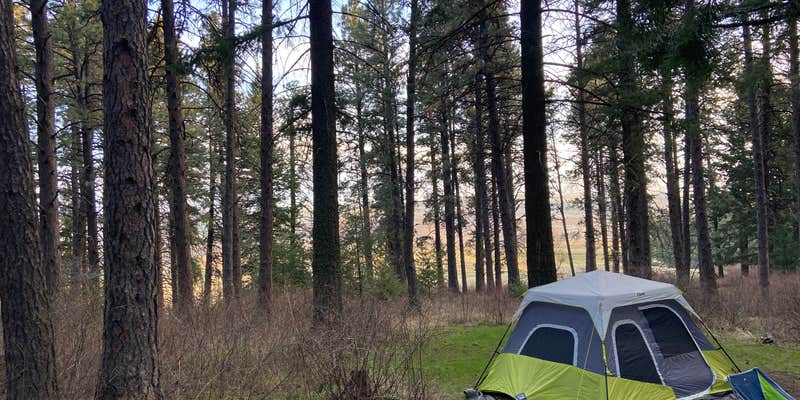 Camper submitted image from Kamiak Butte County Park