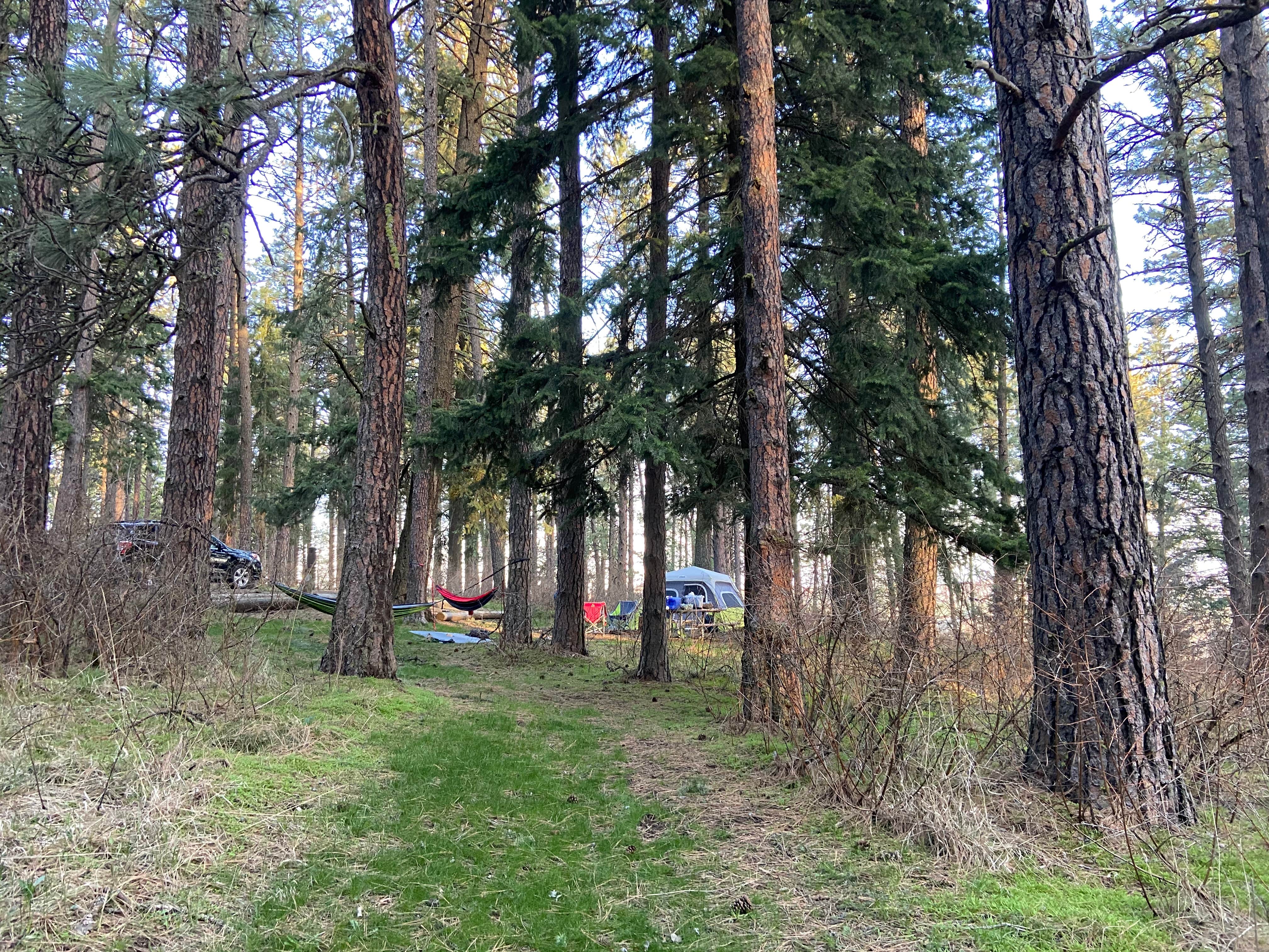 Camper submitted image from Kamiak Butte County Park - 2