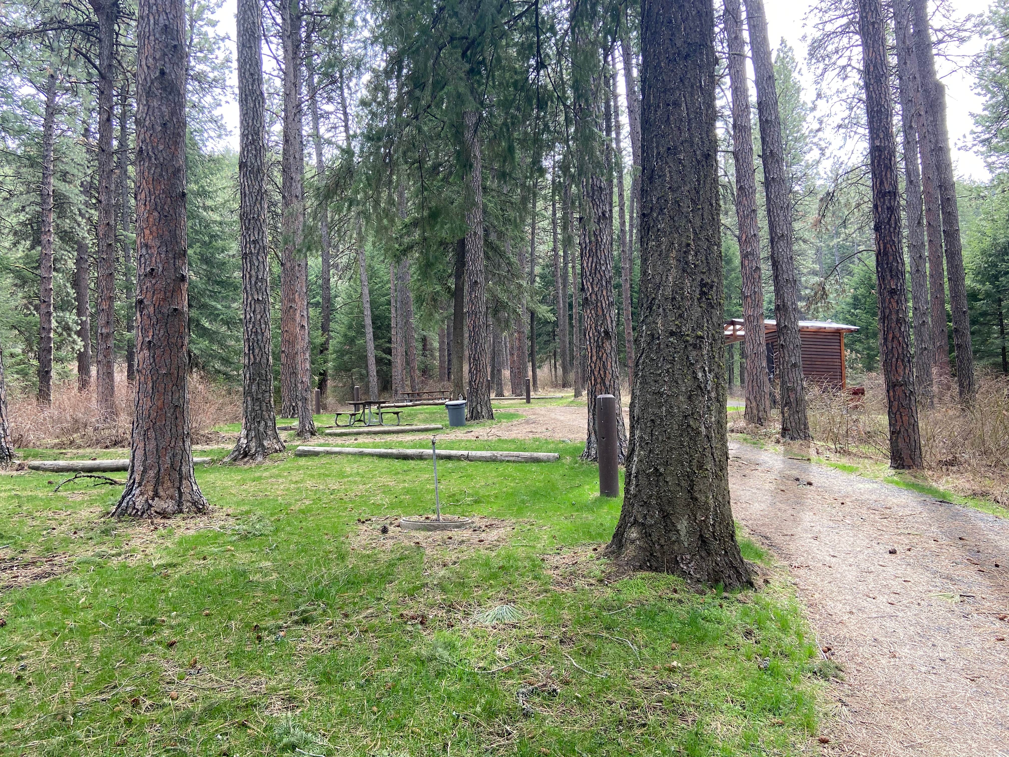 Camper-submitted photo at Kamiak Butte County Park near St. John, WA