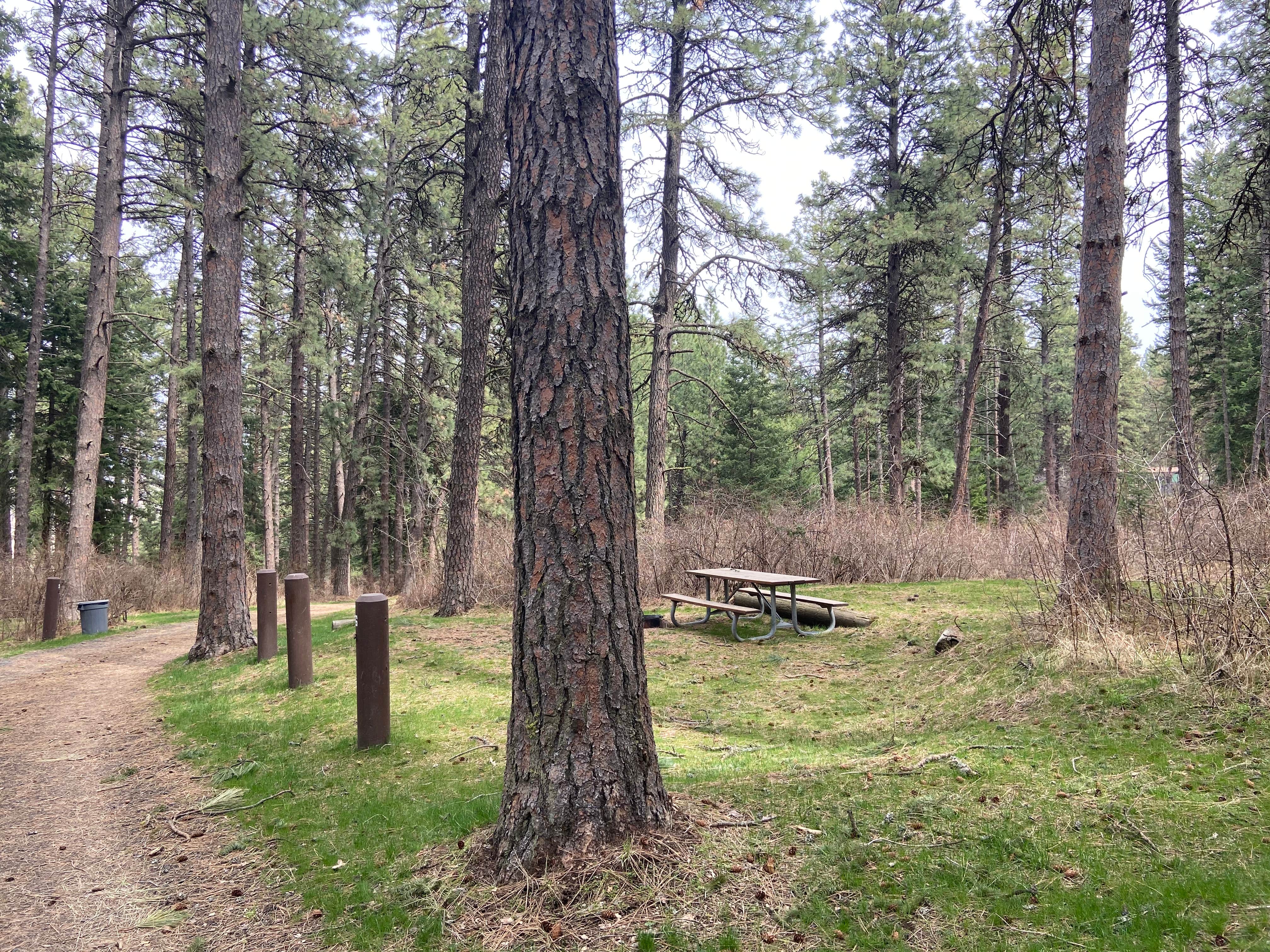 Camper submitted image from Kamiak Butte County Park - 5