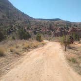 Review photo of Kolob Road BLM Dispersed by Greg L., April 4, 2021