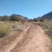 Review photo of Kolob Road BLM Dispersed  by Greg L., April 4, 2021