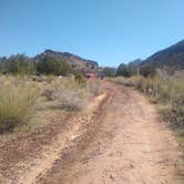 Review photo of Kolob Road BLM Dispersed by Greg L., April 4, 2021