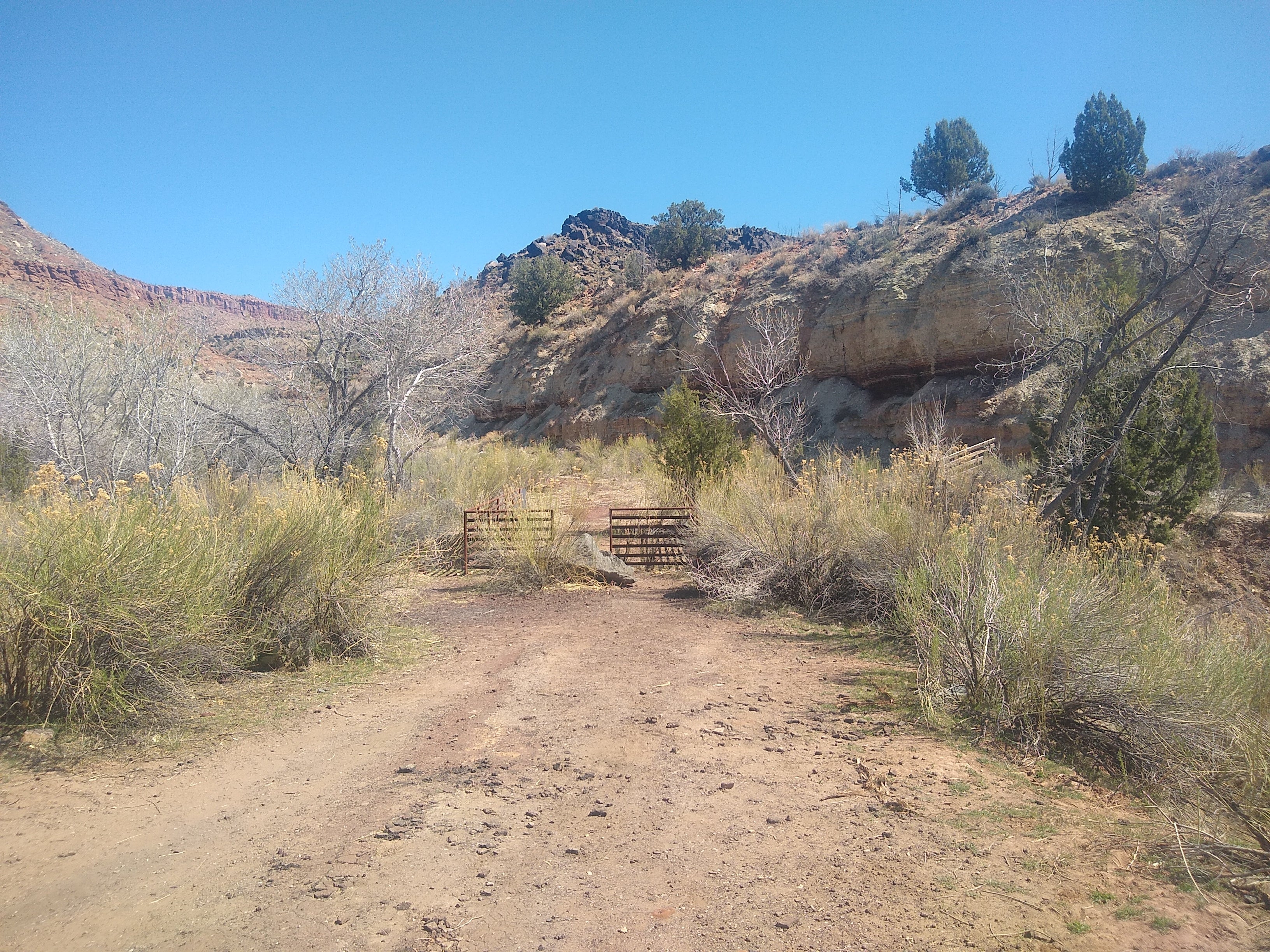 Camper submitted image from Kolob Road BLM Dispersed  - 5