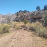 Review photo of Kolob Road BLM Dispersed by Greg L., April 4, 2021