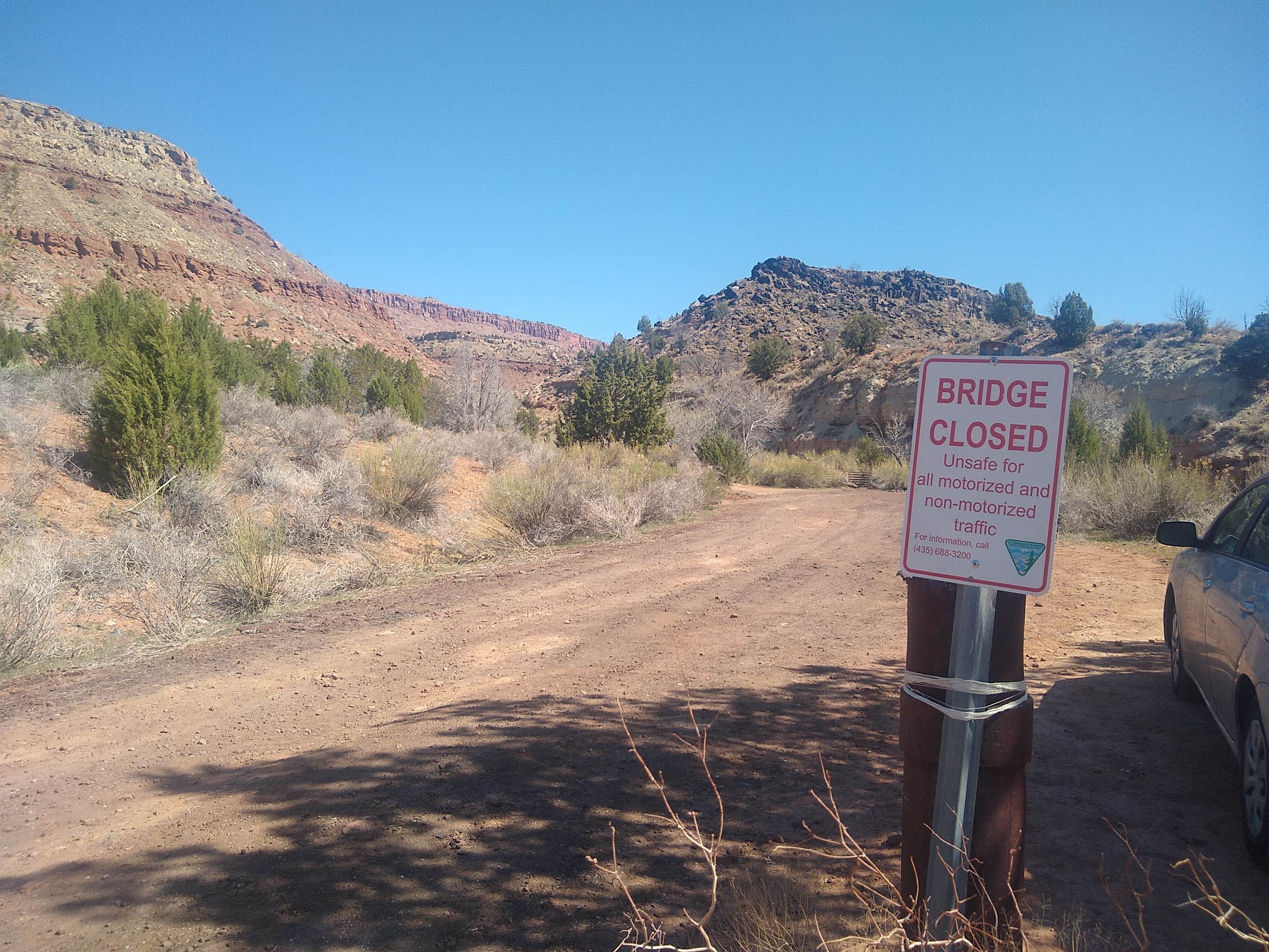 Camper submitted image from Kolob Road BLM Dispersed  - 4