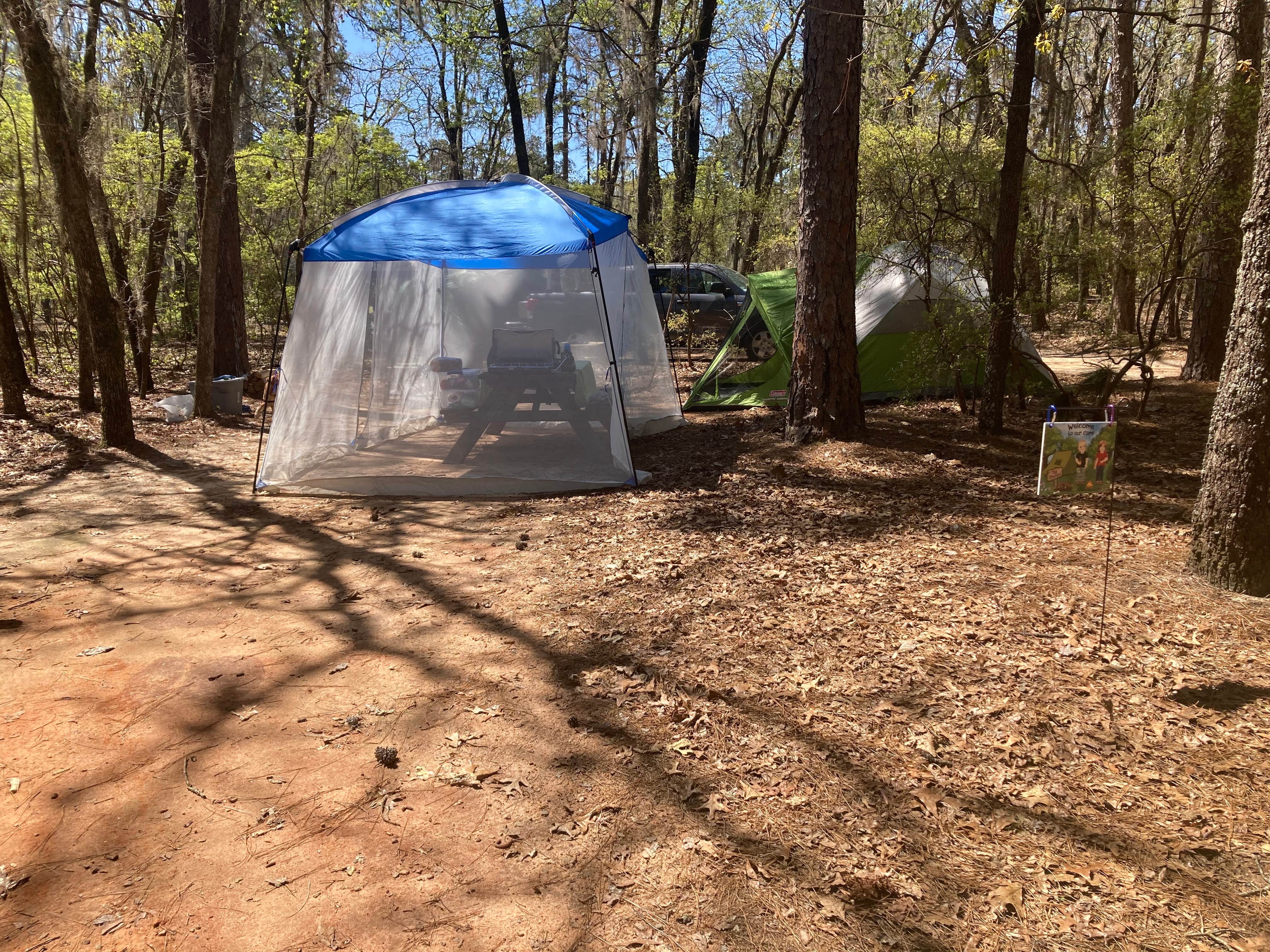 Jay B.'s photo at Poinsett State Park Campground near State Park, SC