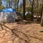 Review photo of Poinsett State Park Campground by Jay B., April 4, 2021