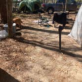 Review photo of Poinsett State Park Campground by Jay B., April 4, 2021