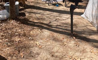 Jay B.'s photo at Poinsett State Park Campground near St. Matthews, SC