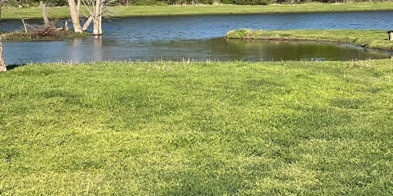 Camper submitted image from Bluebonnet Ridge RV Park