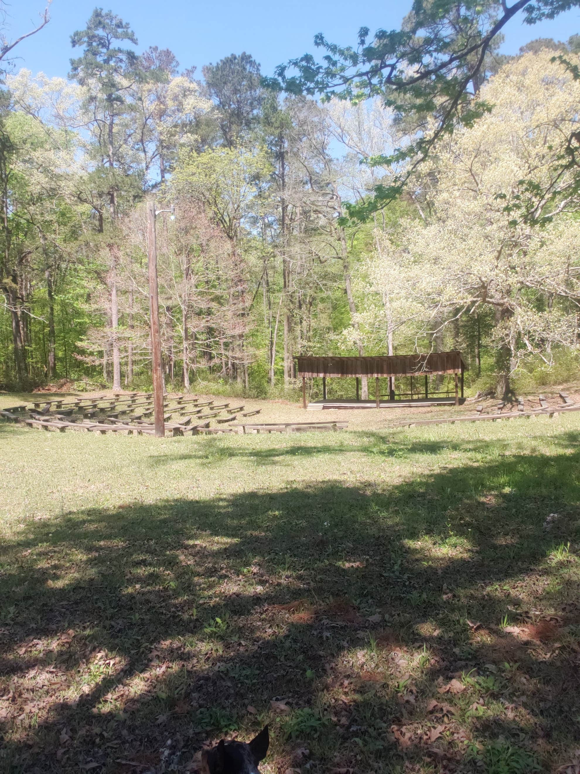 Camper submitted image from Boles Field Campground - 5