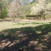 Review photo of Boles Field Campground by Annette K., April 5, 2021