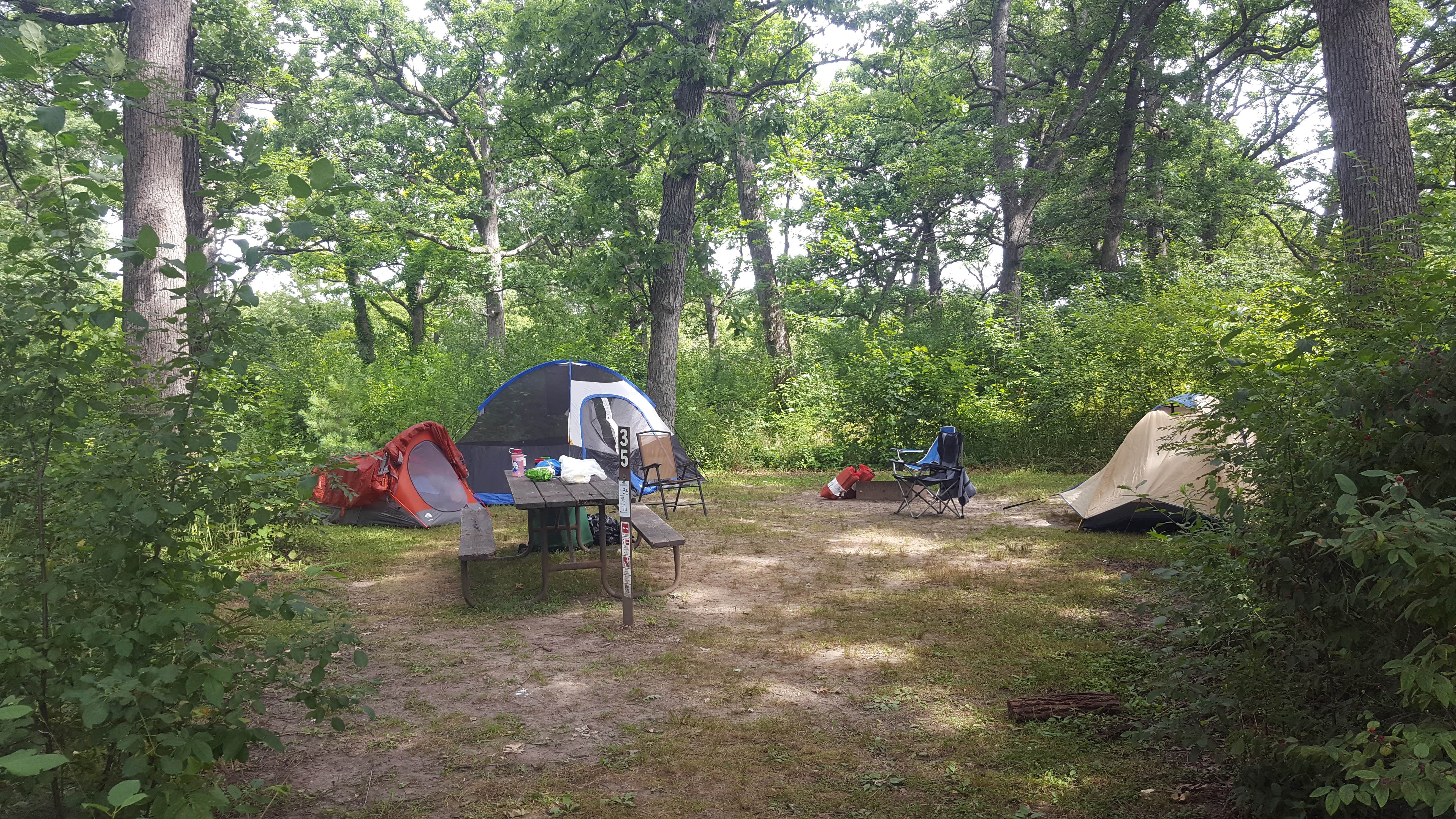 Camper submitted image from Big Foot Beach State Park Campground - 2