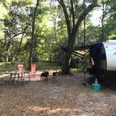 Review photo of Manatee Springs State Park Campground by Angela M., April 5, 2021