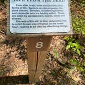 Review photo of Manatee Springs State Park Campground by Angela M., April 5, 2021