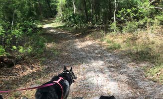 Angela M.'s photo of camping with pets at Manatee Springs State Park Campground near Chiefland, FL
