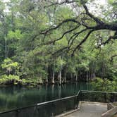 Review photo of Manatee Springs State Park Campground by Angela M., April 5, 2021