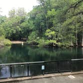 Review photo of Manatee Springs State Park Campground by Angela M., April 5, 2021