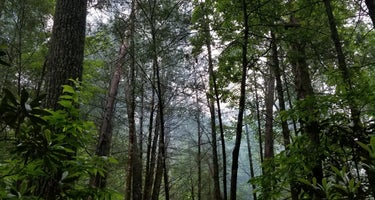 Jack's River Falls Trail/Cohutta Wilderness Backcountry Group Camp