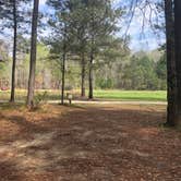 Review photo of Longleaf Campground — Congaree National Park by Marissa H., April 5, 2021