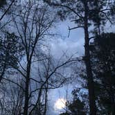 Review photo of Longleaf Campground — Congaree National Park by Marissa H., April 5, 2021