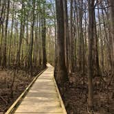 Review photo of Longleaf Campground — Congaree National Park by Marissa H., April 5, 2021