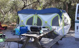 Judith P.'s photo at Grayton Beach State Park Campground near Panama City, FL