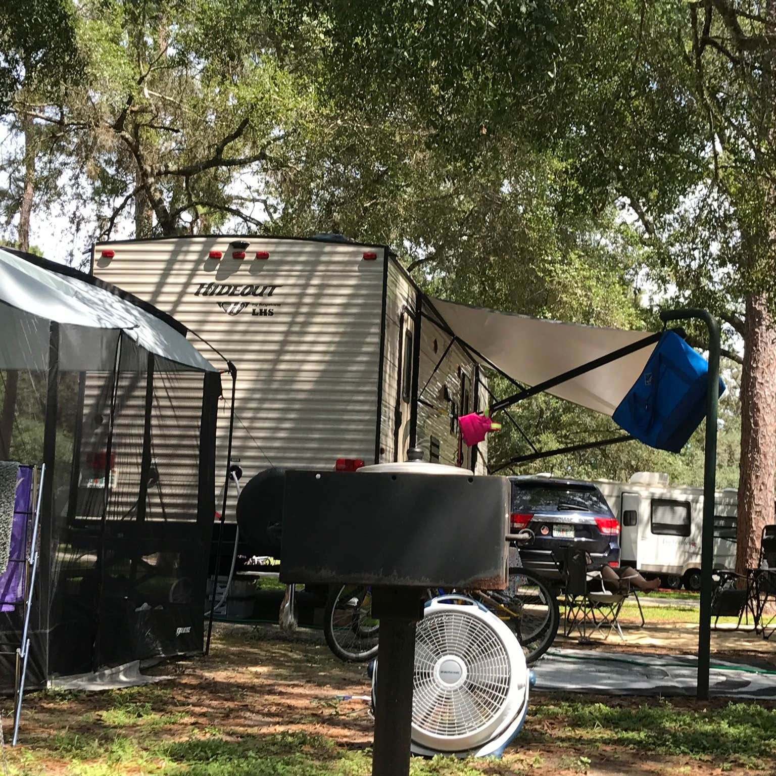 Salt Springs Recreation Area Camping | The Dyrt