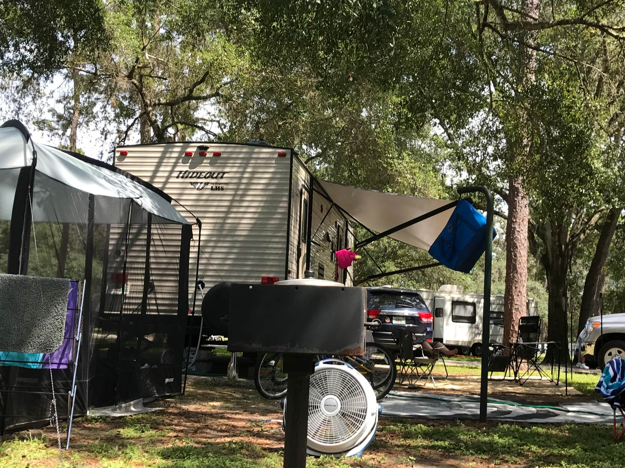 Camper submitted image from Salt Springs Recreation Area - 5